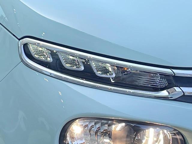 23715422_carP_l_7.jpg