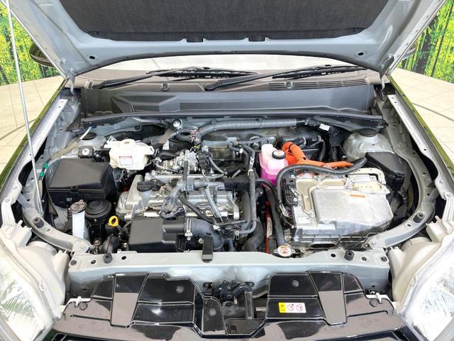 24029652_carP_l_16.jpg
