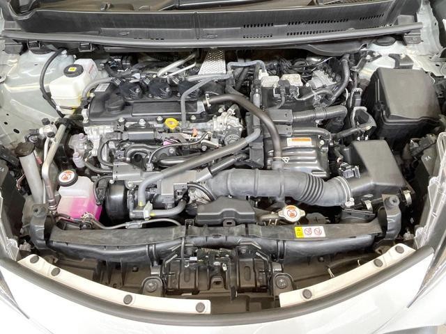 26335110_carP_l_9.jpg