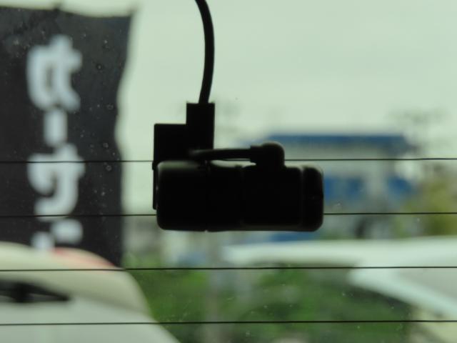 25000725_carP_l_12.jpg