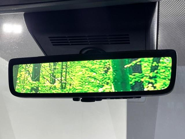 24070006_carP_l_17.jpg