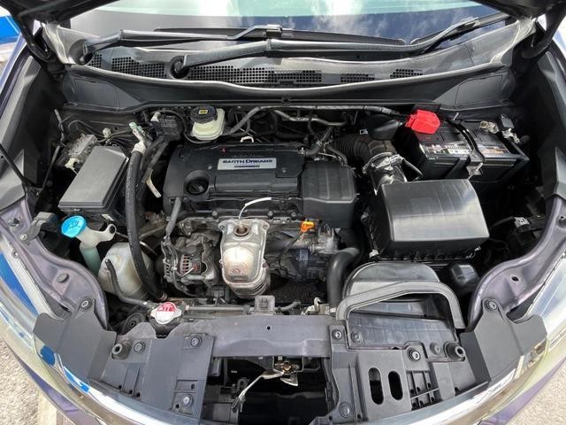 26209982_carP_l_18.jpg