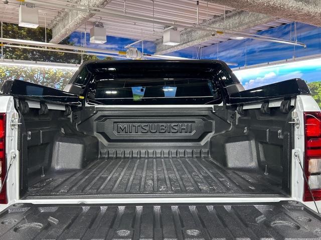 25241963_carP_l_2.jpg