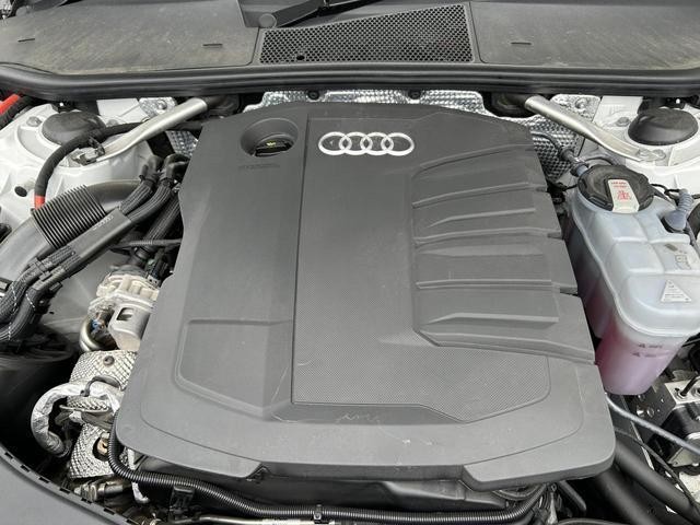 25091493_carP_l_11.jpg