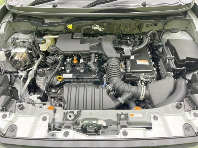 26063766_carP_l_16.jpg