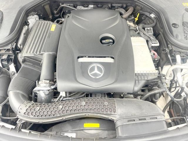 24932210_carP_l_18.jpg