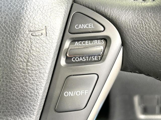 26210341_carP_l_10.jpg
