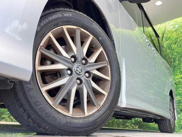 26063950_carP_l_9.jpg