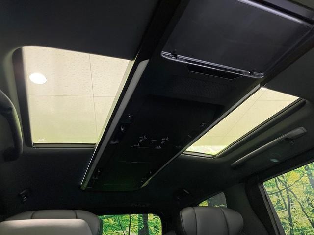 25384493_carP_l_4.jpg