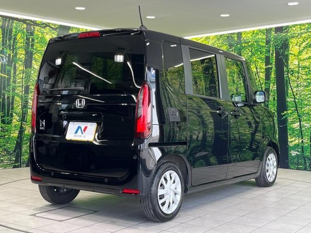 25904336_carP_l_12.jpg