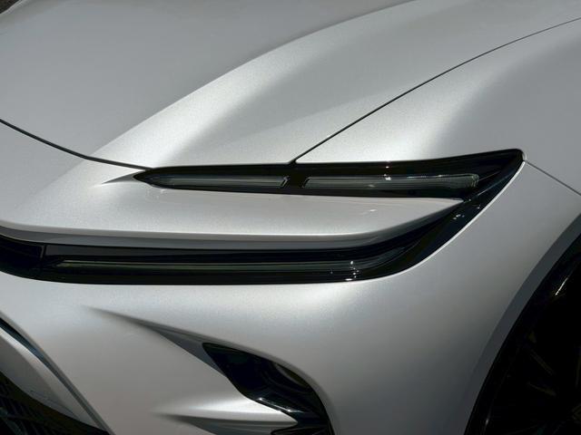 24112887_carP_l_10.jpg