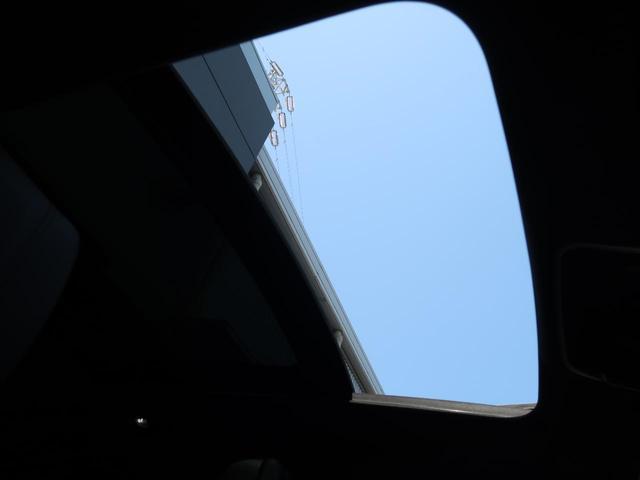 24030414_carP_l_8.jpg