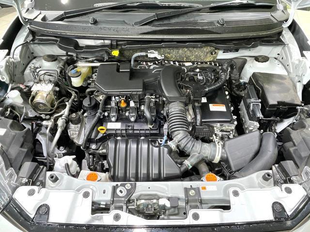 24726490_carP_l_16.jpg