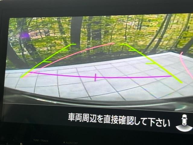 23865128_carP_l_13.jpg