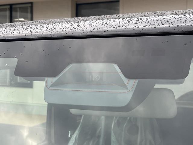 26946596_carP_l_13.jpg