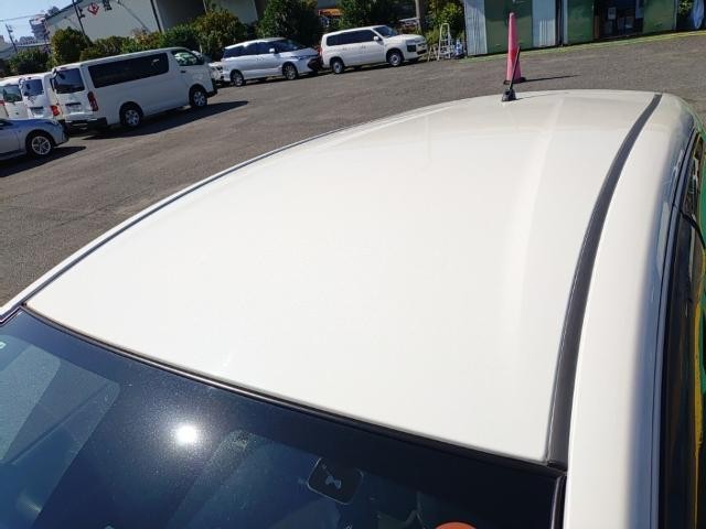 27232698_carP_l_14.jpg