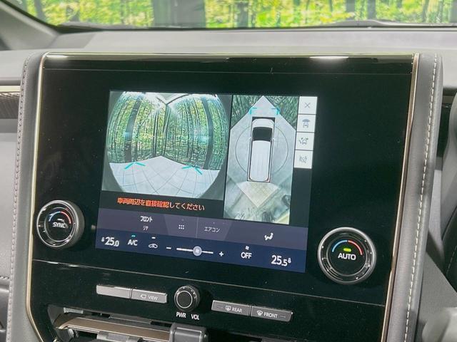 22995005_carP_l_13.jpg