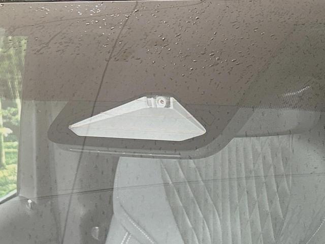 22995005_carP_l_15.jpg