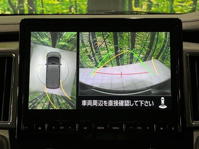 24239483_carP_l_10.jpg