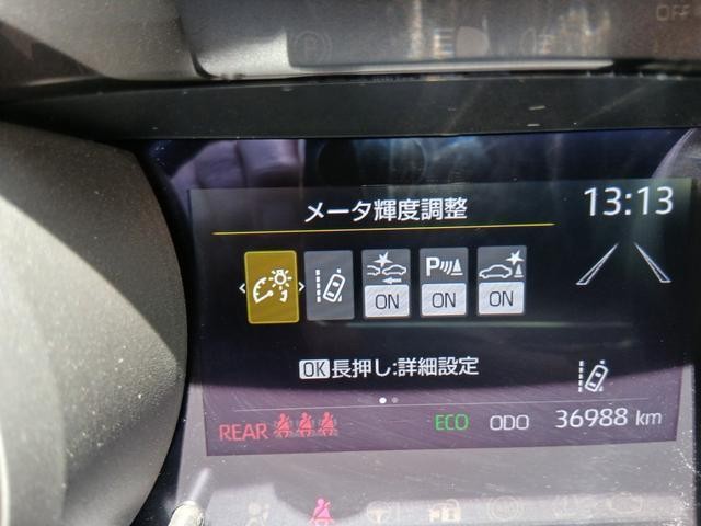 25566892_carP_l_6.jpg