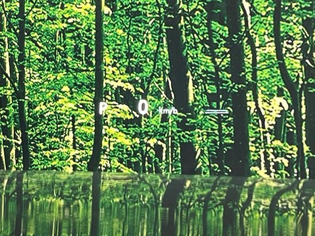 26751503_carP_l_14.jpg