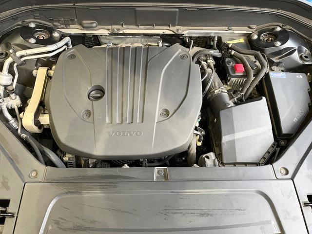 24133774_carP_l_20.jpg