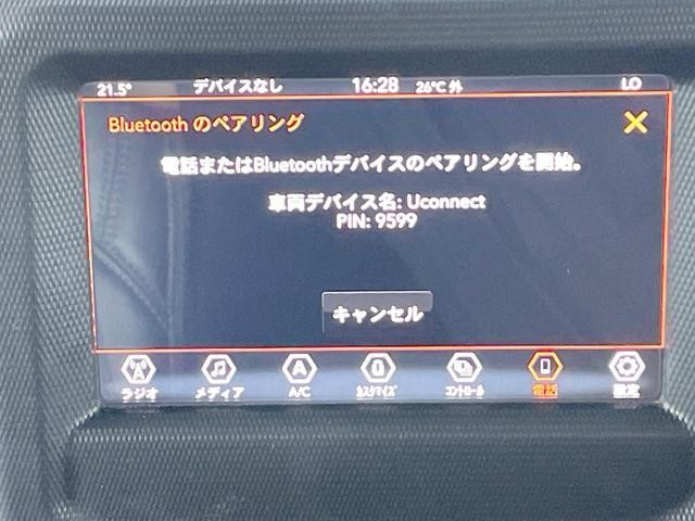 25792857_carP_l_17.jpg