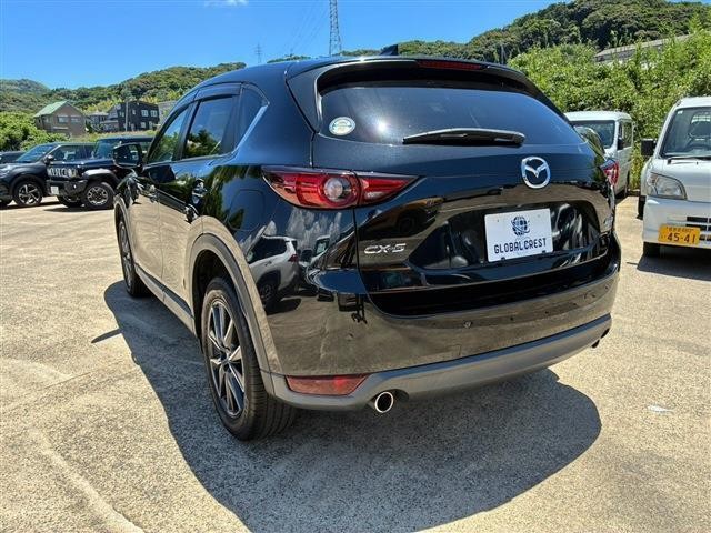 25399109_carP_l_6.jpg