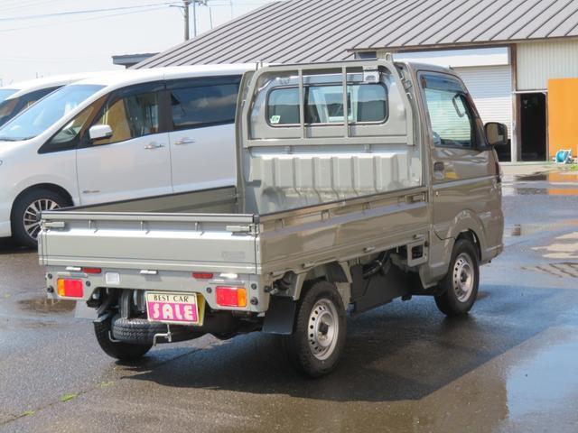 25009439_carP_l_10.jpg