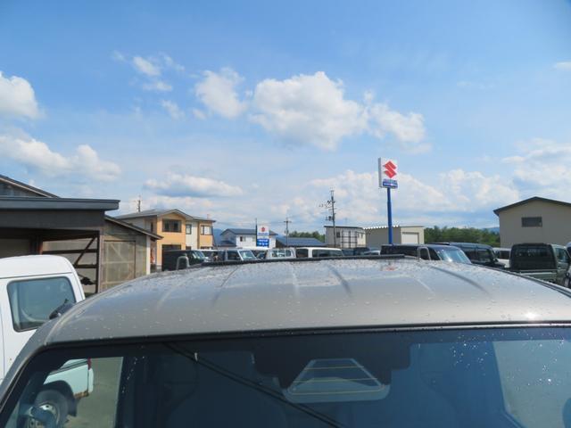 25009439_carP_l_16.jpg