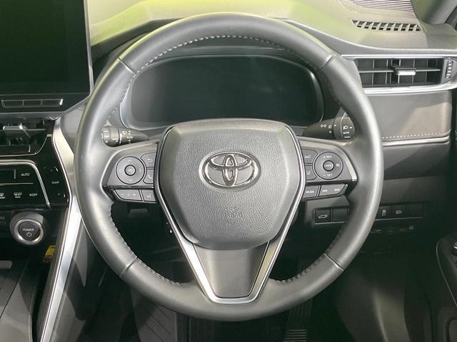 25158194_carP_l_17.jpg