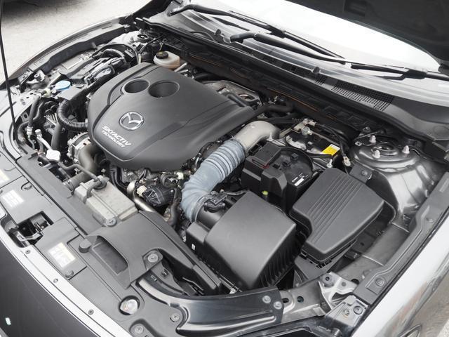 25009446_carP_l_20.jpg