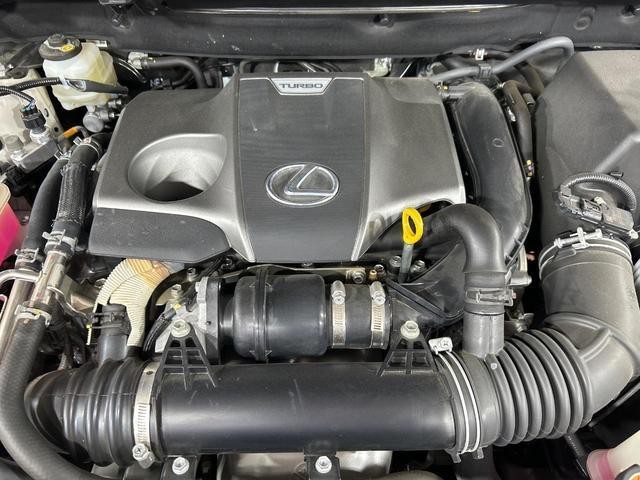 26210465_carP_l_16.jpg