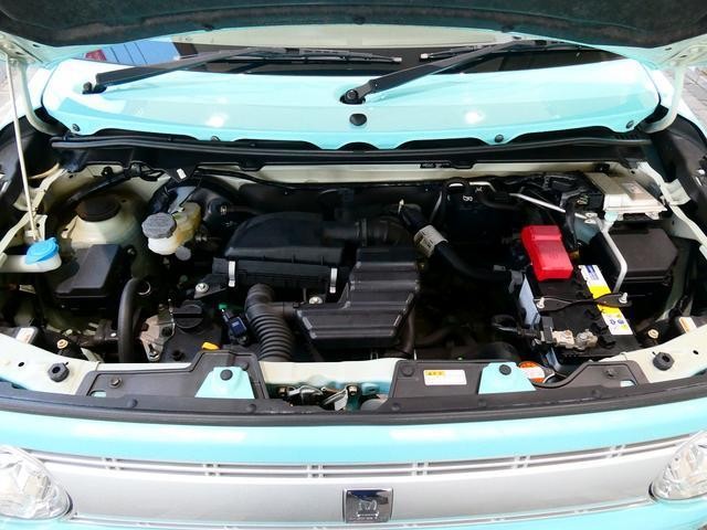 25977634_carP_l_18.jpg