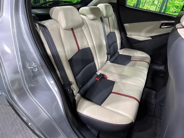 26063921_carP_l_19.jpg