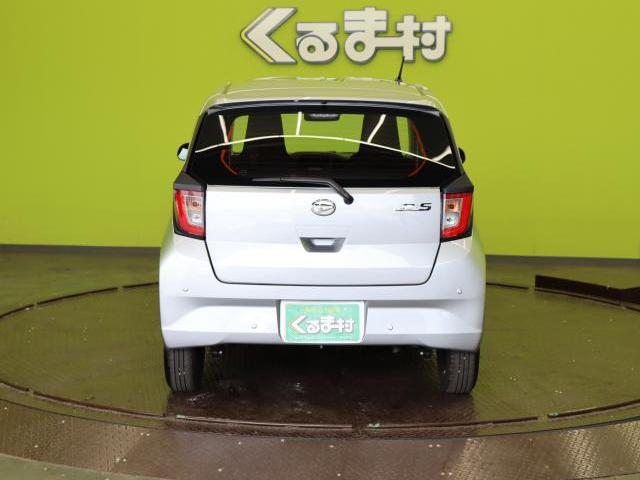 24147846_carP_l_18.jpg