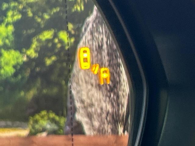 24340957_carP_l_14.jpg