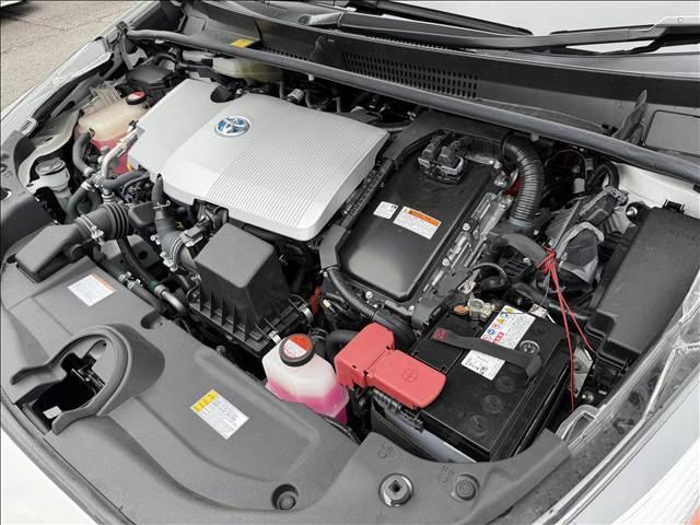 25014631_carP_l_8.jpg