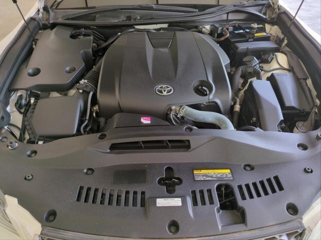 25693010_carP_l_17.jpg