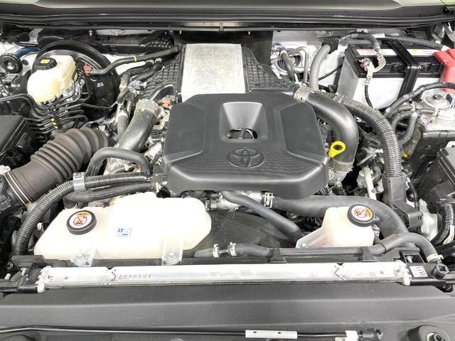 26335531_carP_l_20.jpg