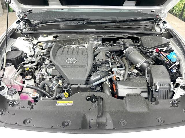 25591937_carP_l_18.jpg