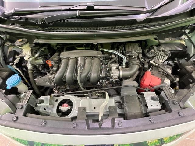 25097089_carP_l_18.jpg