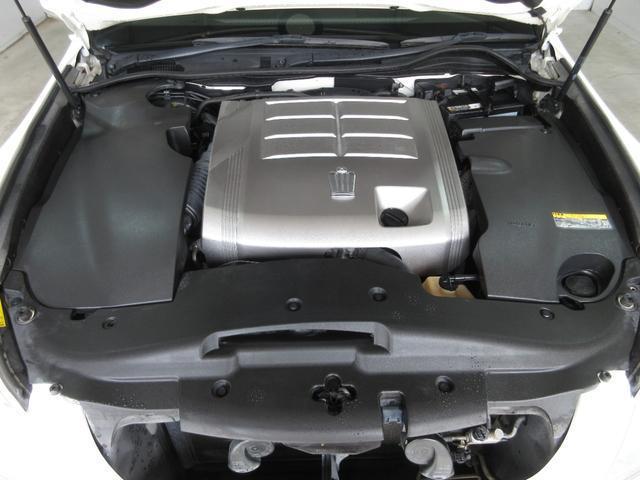 23899478_carP_l_20.jpg