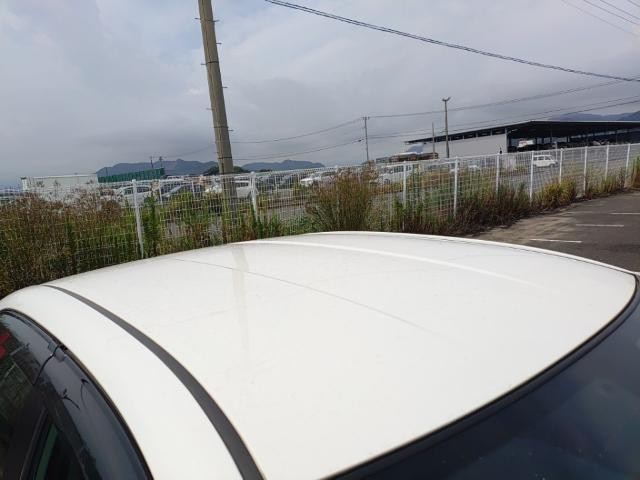 26245551_carP_l_14.jpg