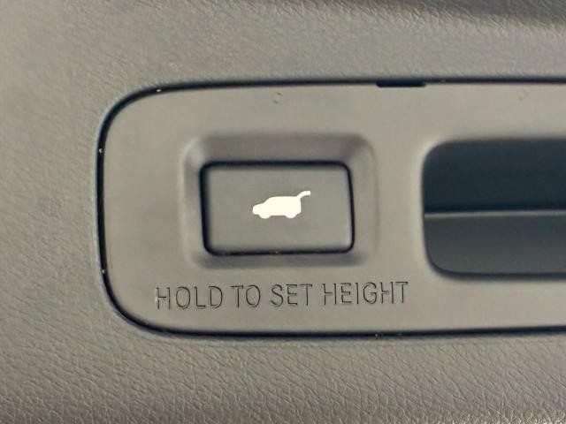 24395501_carP_l_19.jpg