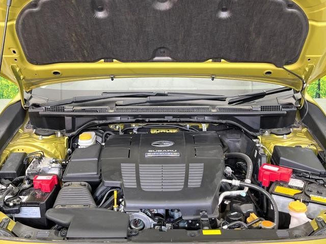 25942500_carP_l_16.jpg