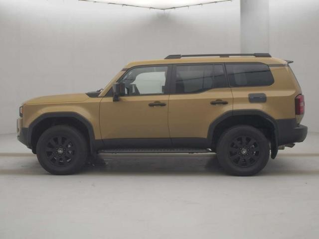 25308857_carP_l_14.jpg