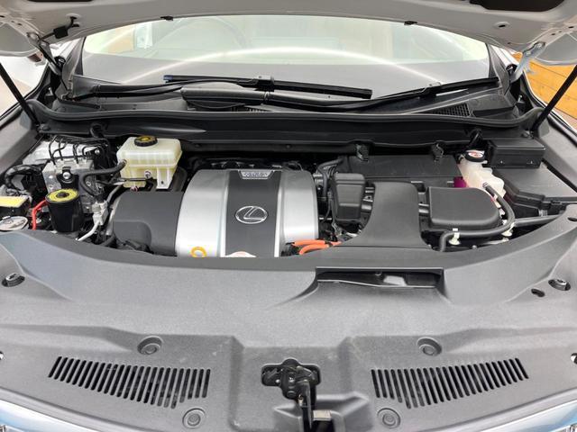 23675088_carP_l_16.jpg
