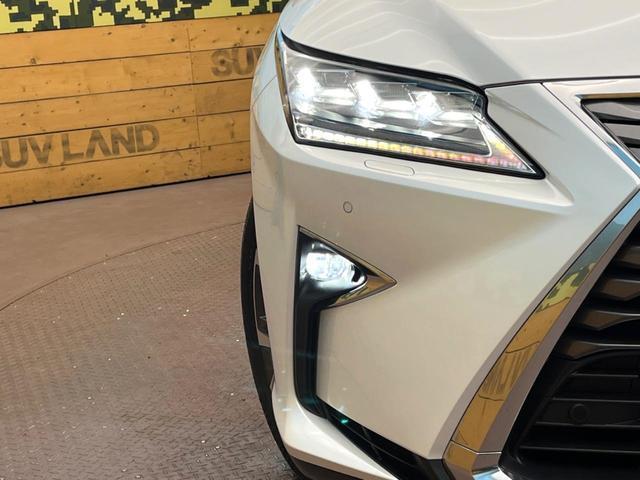 23675088_carP_l_6.jpg