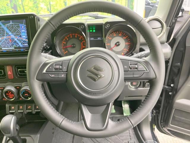 24828612_carP_l_5.jpg